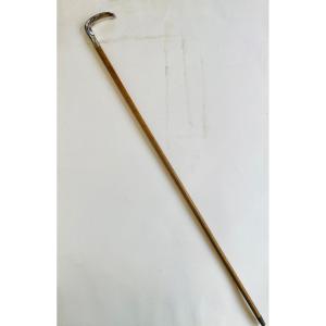 Cane